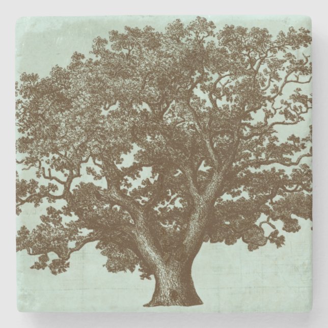 Spa Tree IV Stone Coaster (Front)