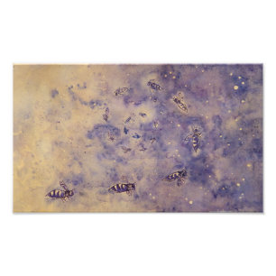 Space Bees Photo Print