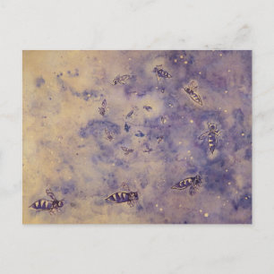 Space Bees Postcard