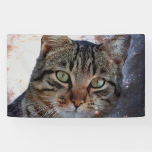 Space Cat Banner