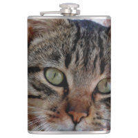 Space Cat