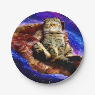 Space cat lying on a pizza paper plate