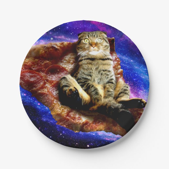 Space cat lying on a pizza paper plate (Front)