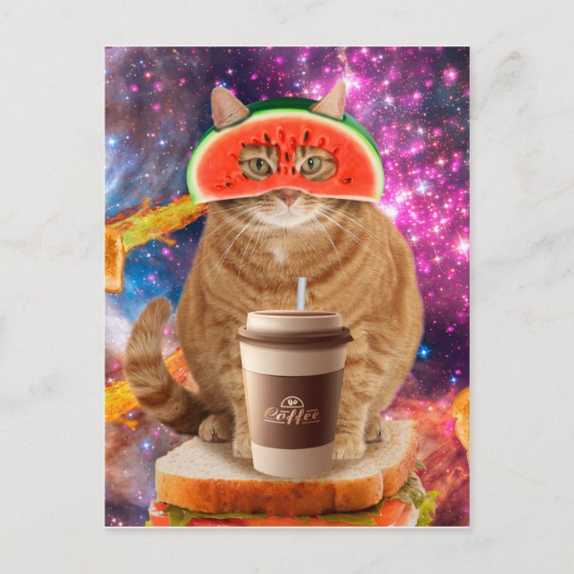 Space cat with watermelon glasses postcard (Front)