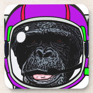Space Chimp Coaster