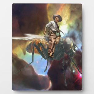 Space Cowboy Plaque