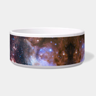 Space/galaxy pet bowl