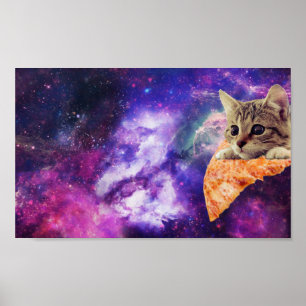 Space Pizza Cat poster
