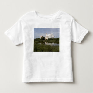 Space Shuttle Endeavour lifts off 6 Toddler T-Shirt