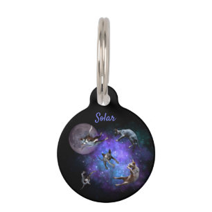 Space Sphynx Cats Floating Kittens in Galaxy  Pet Tag