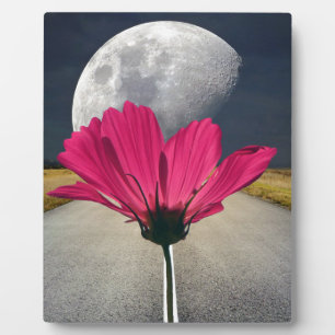Spacey Cosmos Plaque