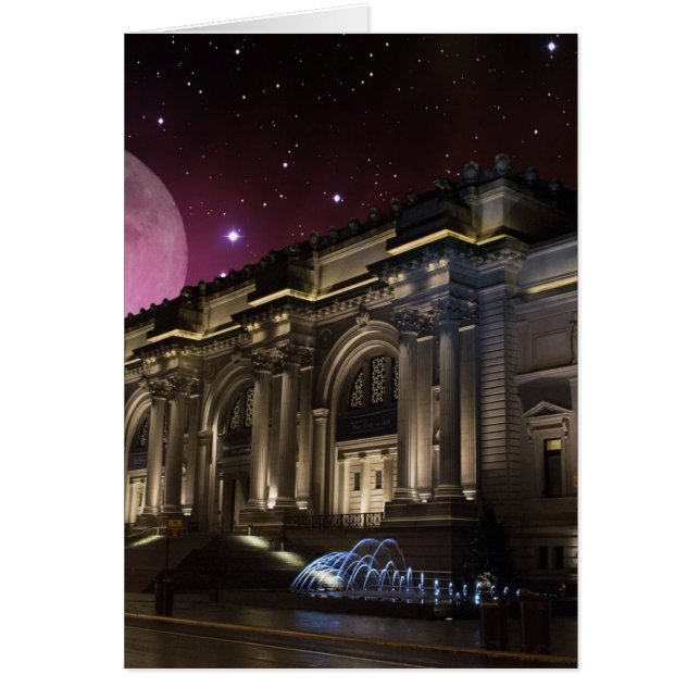 Spacey Metropolitan Museum (Front)