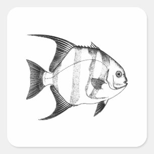 Spadefish Illustration Square Sticker