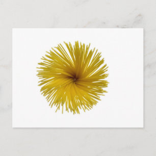 Spaghetti flower postcard