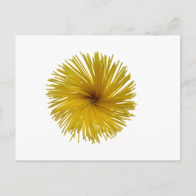 Spaghetti flower postcard (Front)