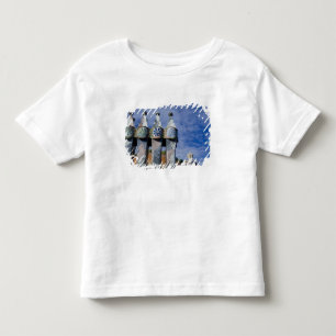 Spain, Catalonia, Barcelona. Casa Batllo (1906). 2 Toddler T-Shirt