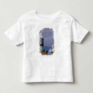 Spain, Catalonia, Barcelona. Casa Batllo (1906). 3 Toddler T-Shirt