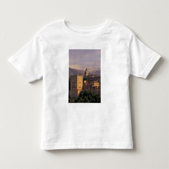 Spain, Granada, Andalucia The Alhambra, 2 Toddler T-Shirt (Front)