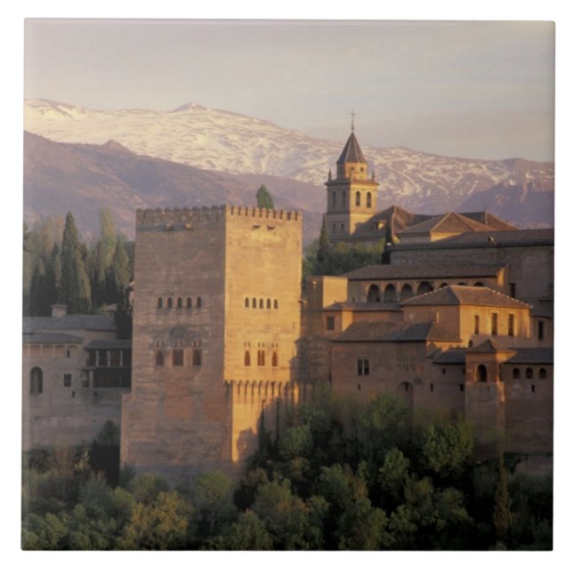 Spain, Granada, Andalucia The Alhambra, Ceramic Tile (Front)