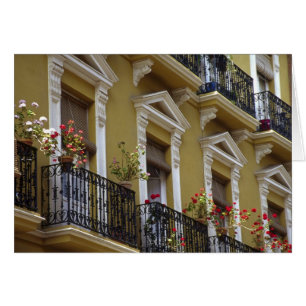 Spain, Sevilla, Andalucia Geraniums hang over