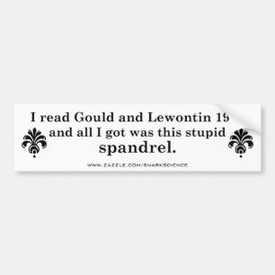 Spandrels Bumper Sticker