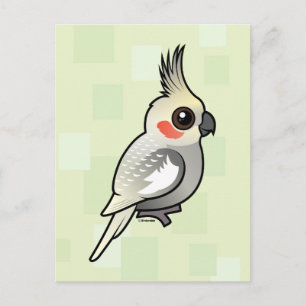 Spangled Cockatiel Postcard