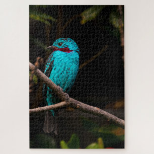Spangled Cotinga Jigsaw Puzzle