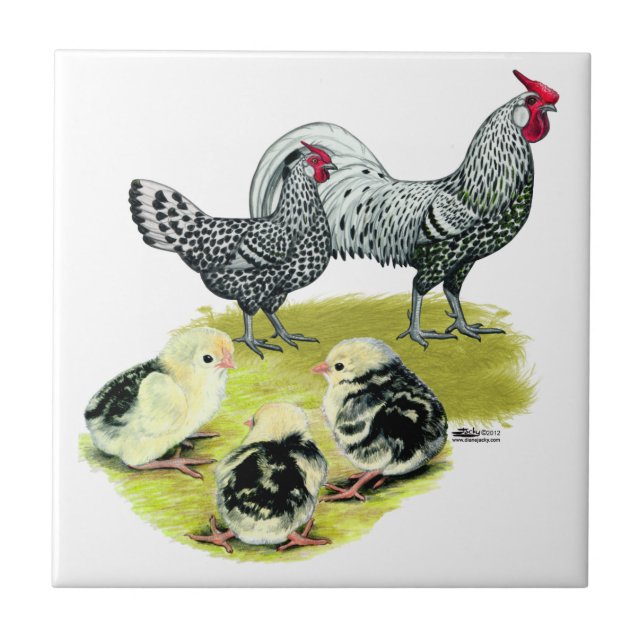 Spangled Hamburg Family Ceramic Tile (Front)