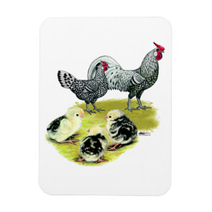 Spangled Hamburg Family Magnet