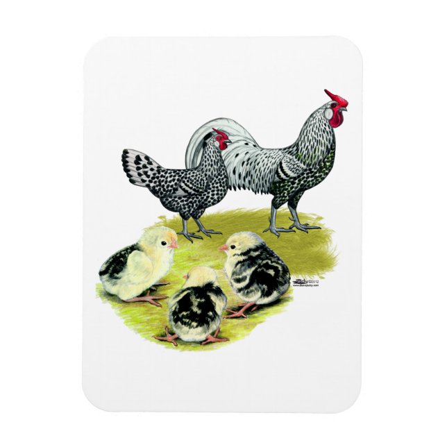 Spangled Hamburg Family Magnet (Vertical)