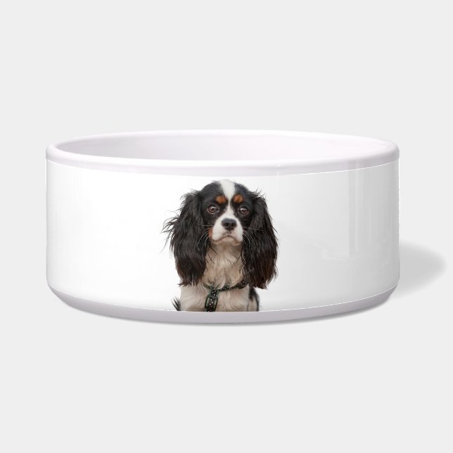 SPANIEL (Front)