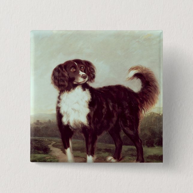 Spaniel 15 Cm Square Badge (Front)