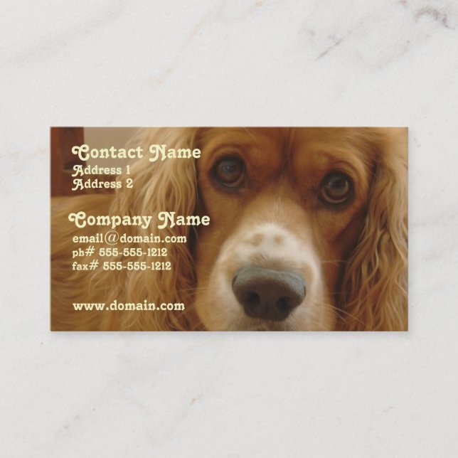 Spaniel Breed Business Card (Front)