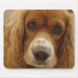 Spaniel Breed Mouse Pad