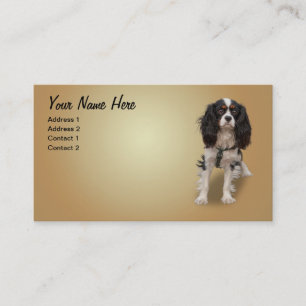 SPANIEL BUSINESS CARD