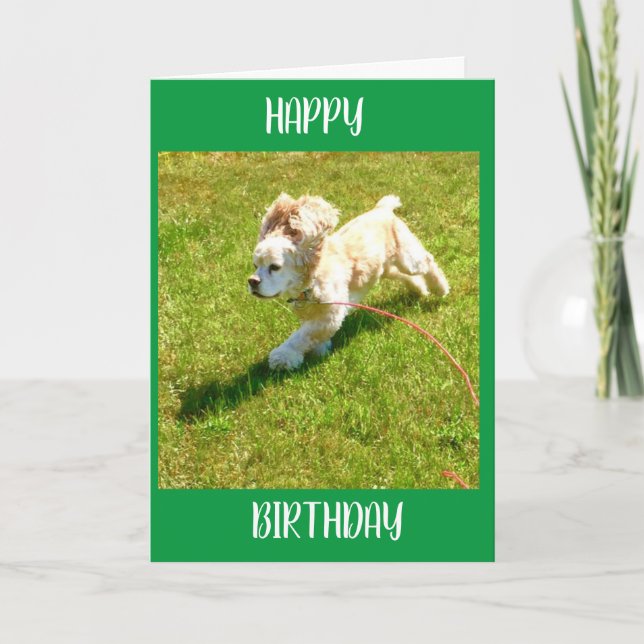 SPANIEL CAN'T WAIT TO SAY **HAPPY BIRTHDAY** CARD (Front)