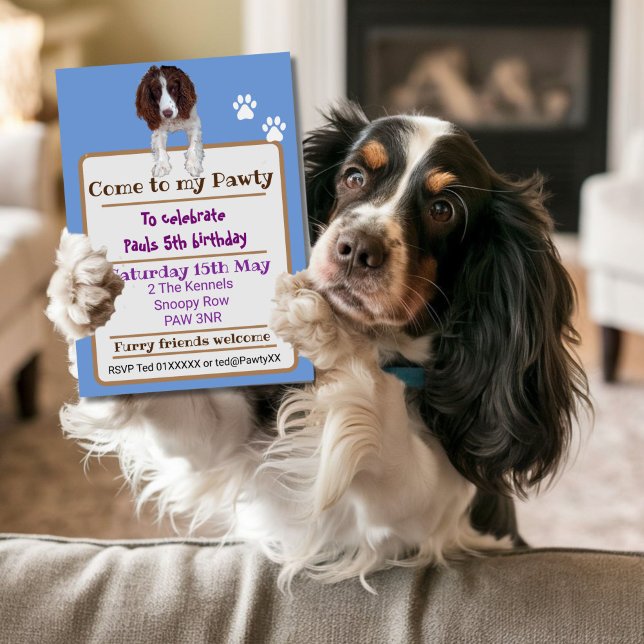 Spaniel dog King Charles Springer Invitation (Creator Uploaded)