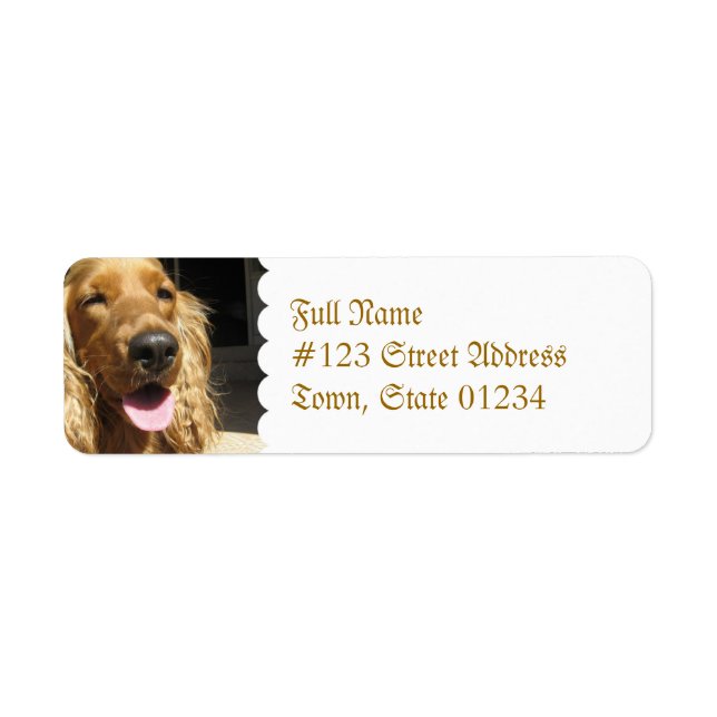 Spaniel Dog Mailing Label Return Address Label (Front)