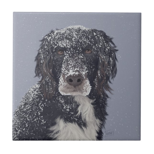 Spaniel dog mix pet portrait  ceramic tile (Front)