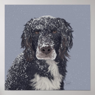 Spaniel dog mix pet portrait  poster