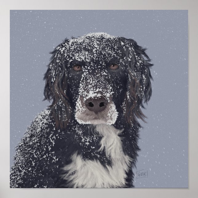 Spaniel dog mix pet portrait  poster (Front)