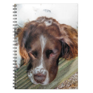 SPANIEL DOG NOTEBOOK