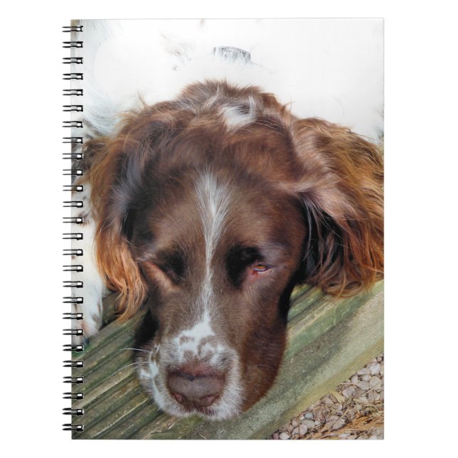 SPANIEL DOG NOTEBOOK (Front)
