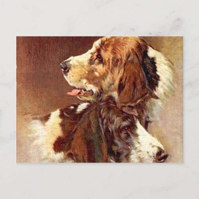Spaniel Dogs Vintage Art Design Postcard (Front)