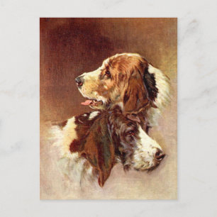 Spaniel Dogs Vintage Art Design Postcard