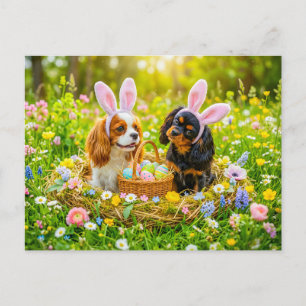 Spaniel duo in easter nest meadow postcard
