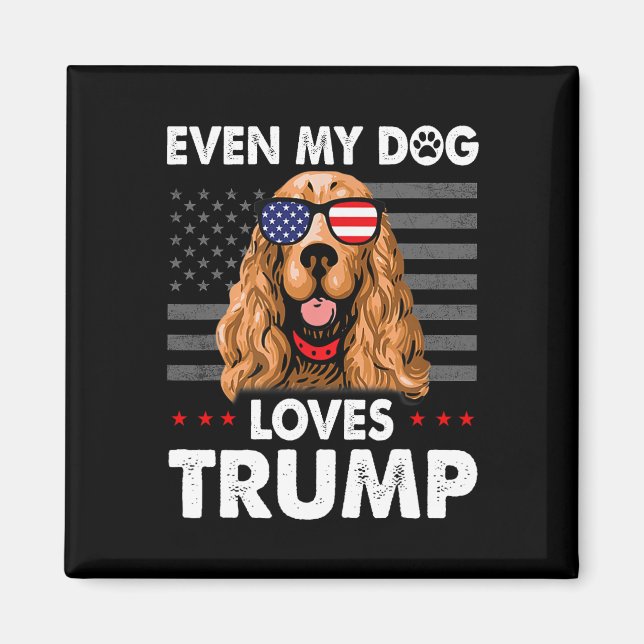 Spaniel Even My Dog Loves Trump Funny  Magnet (Front)