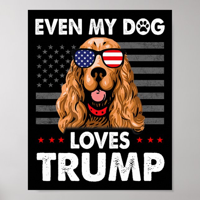Spaniel Even My Dog Loves Trump Funny  Poster (Front)