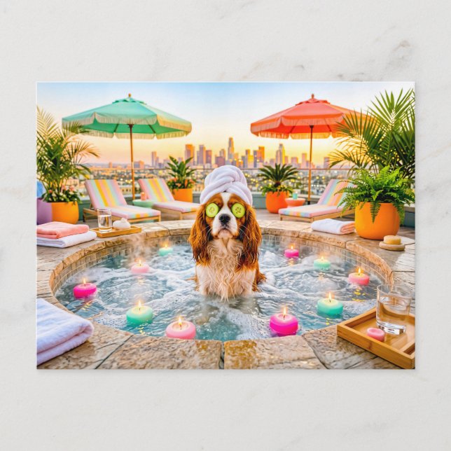 Spaniel in wellness pool postcard (Front)
