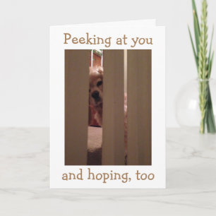 SPANIEL IS PEEKING OUT TO SAY-KISS ME HOLIDAY CARD